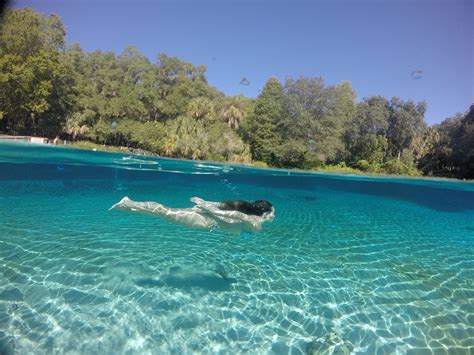 THE 30 BEST Places to Visit in Dunnellon (2026)