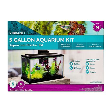 5 Gallon Fish Tank Kits