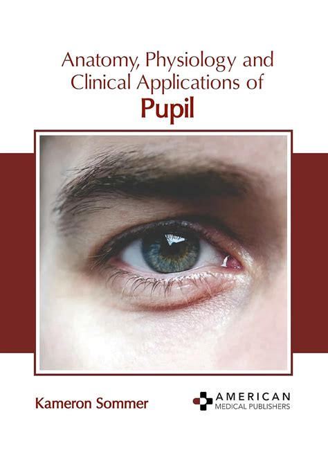 Buy Anatomy, Physiology and Clinical Applications of Pupil Book Online ...