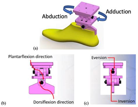 Slip Risk Prediction Using Intelligent Insoles and a Slip Simulator