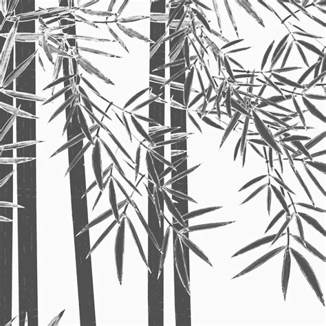 Tropical Monochrome, Room Wallpaper | Life n Colors
