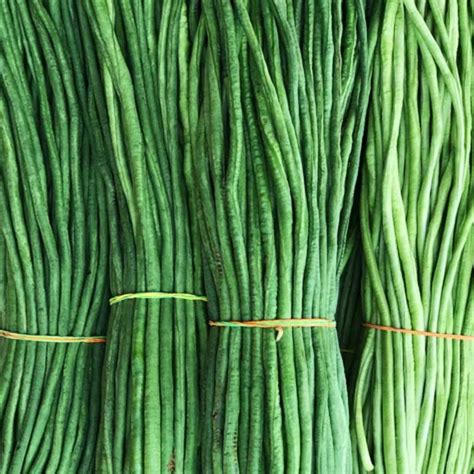 String Beans (লম্বা বরবটি) - 500 gram | Vegetables | Oi Food Siliguri
