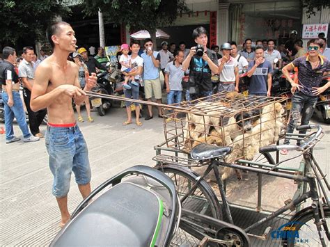 广西玉林“狗肉节”爱狗人士当街落泪 被当地群众围观嘲笑[1]- 中国日报网