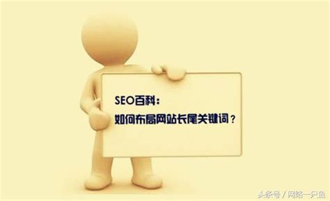 SEO-美誉度国际品牌管理(深圳)有限公司