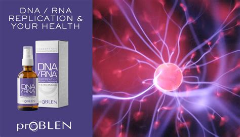 Image result for RNA Replication