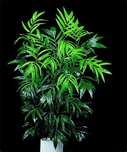 Deluxe Phoenix Palm - Unitized - 4 Feet : Amazon.in: Home Improvement