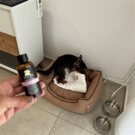 THALASSA RESIDENTIAL COMPLEX (Paralia Ofryniou) - Specialty Hotel ...