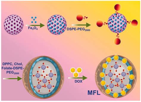Review of the Application of Dual Drug Delivery Nanotheranostic Agents ...