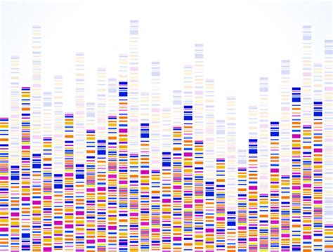 Image result for DNA Barcoding Graphical Abstract