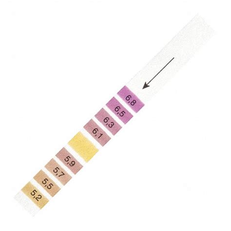 CYTIVA WHATMAN, 0.2 pH, 4 in Overall Lg, pH Indicator Strips - 32HK85 ...