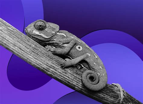 Image result for Change Management Strategy Example