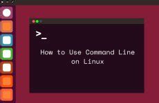 How to Write and Run Shell Script in Ubuntu Linux 的图像结果