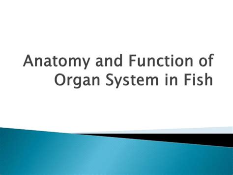 Image result for How Do Fish Perform 7 Function