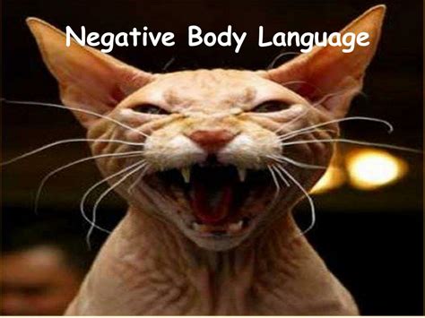 Types Of Body Language 的图像结果