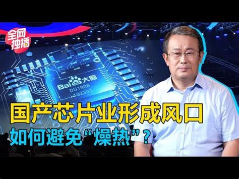 從一個芯片企業的努力看大陸國產芯片的機會，台灣必敗 - YouTube
