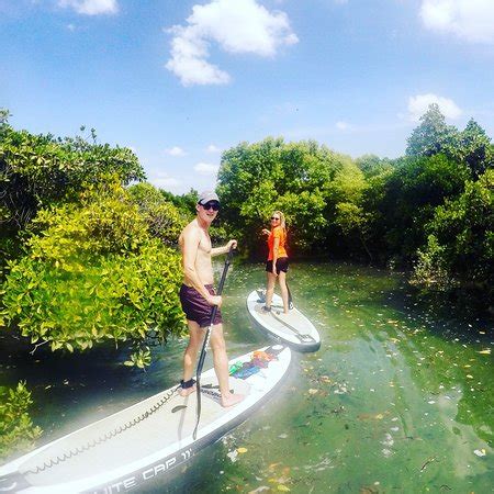 Just wonderful - Reviews, Photos - 2 Winds Paddle Sports - Tripadvisor