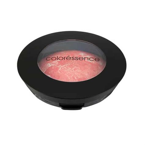 Buy COLORESSENCE PROFESSIONAL TERRACOTTA BLUSHER MULTI-PURPOSE ...