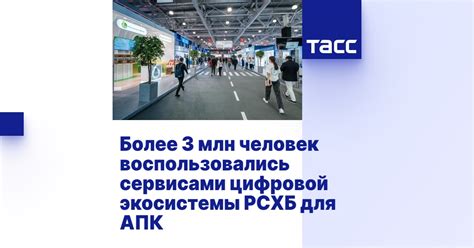 Более 3 млн человек воспользовались сервисами цифровой экосистемы РСХБ ...