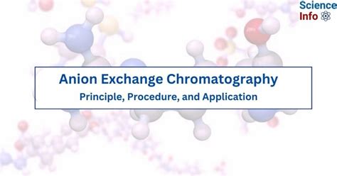 Image result for Anion Exchange Example