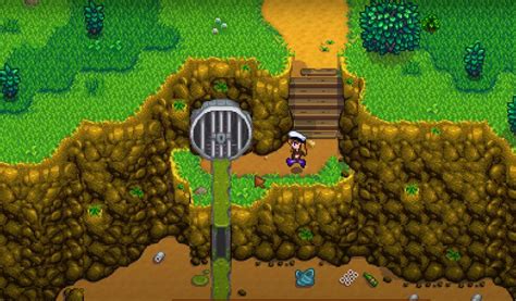 Stardew Valley Sewers Guide: Everything You Should Know