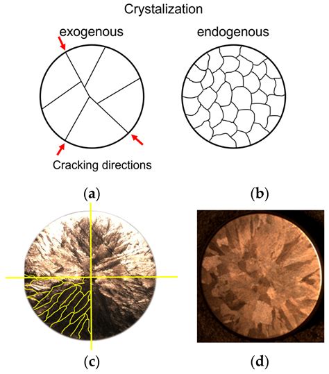 Effect of Inoculation Treatment on Number of Primary Austenite Grains ...
