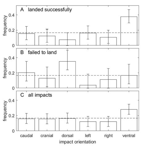 Lantern Fly Nymph 的图像结果