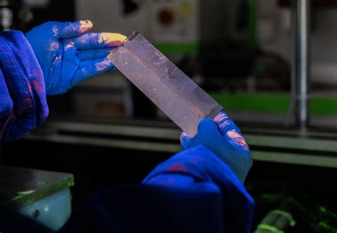 Vector Training Systems 的图像结果