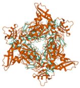 Computational Chemistry to Repurposing Drugs for the Control of COVID-19