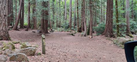 Seal Rock Campground Camping | The Dyrt