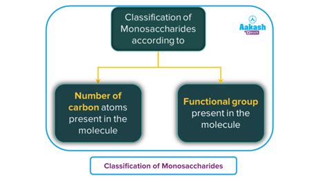 Classification of Carbohydrates and their Structure - Carbohydrates ...