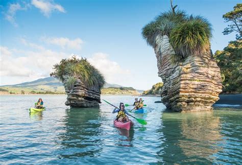 Visit Waikato I 100% Pure New Zealand