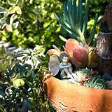 Adding Styrofoam For Drainage: Should I Line Potted Plants With ...