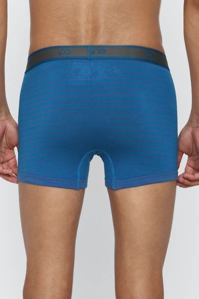 Buy Men Blue Stripe Trunk Online - 793930 | Peter England