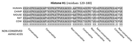 Image result for Conserved Sequence