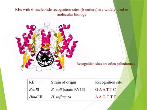 Circular Restriction Mapping 的图像结果