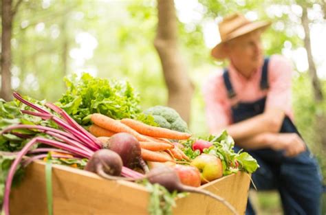 Buy Local Today 的图像结果