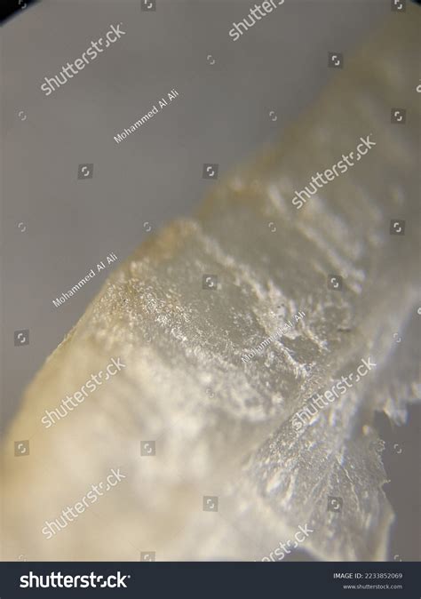 Image result for Microscope Toes