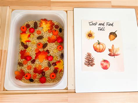 Fall/autumn Theme Sensory Bin Activities 3 Part Cards Seek - Etsy
