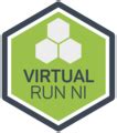 Image result for Virtual Run NI