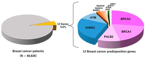 Functions of Breast Cancer Predisposition Genes: Implications for ...