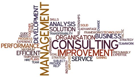 Management Consuling 的图像结果