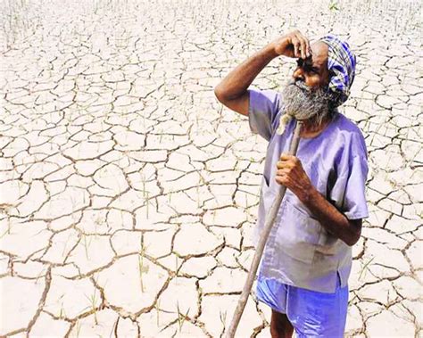 Help farmers grow money