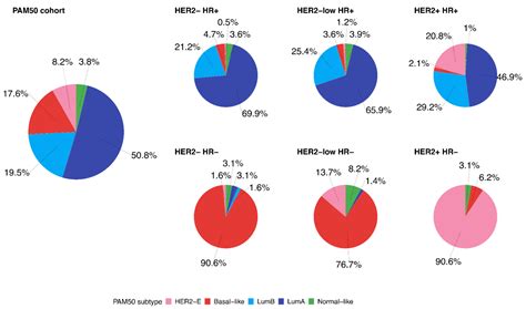 HER2-Low Breast Cancer: Molecular Characteristics and Prognosis