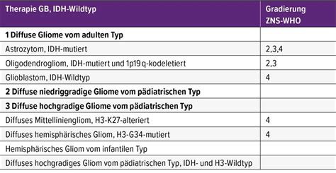 Behandlung von Gliomen im Erwachsenenalter - Neurologie - Universimed ...