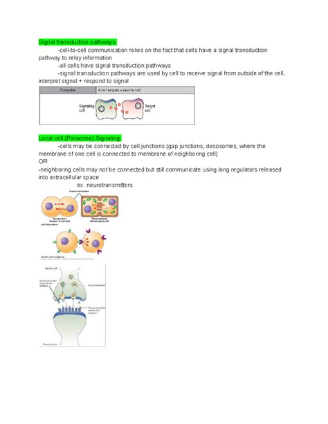 Cell Communication Concept Map 的图像结果