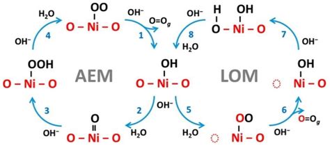 Transition Metal-Based 2D Layered Double Hydroxide Nanosheets: Design ...