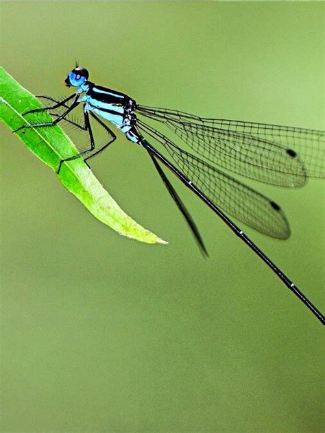 Solid Waste Management Rules 2024: Key Features & Benefits