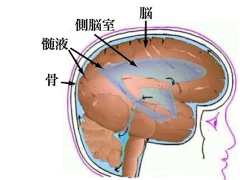 Image result for Systematic Coding Procedure