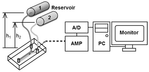 A Microfluidic pH Measurement Device with a Flowing Liquid Junction