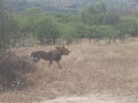 The 5 Best Hotel Deals in Akagera National Park (Feb 2025) - Tripadvisor